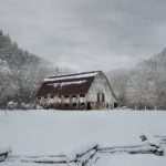 嫩草研究网论坛 6jutdpjfg6